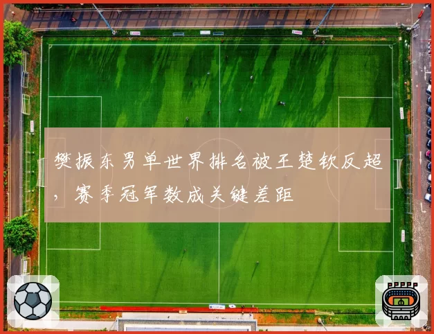 樊振东男单世界排名被王楚钦反超,赛季冠军数成关键差距